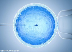 代生包成功代妈补偿